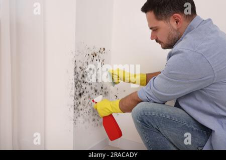 Uomo con guanti di gomma che utilizza un dispositivo di rimozione dello stampo e una spazzola sulle pareti della camera Foto Stock