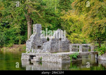 Rovina della casa di pesca medievale dei monaci sul fiume Cong. Cong, Contea di Mayo, Irlanda Foto Stock