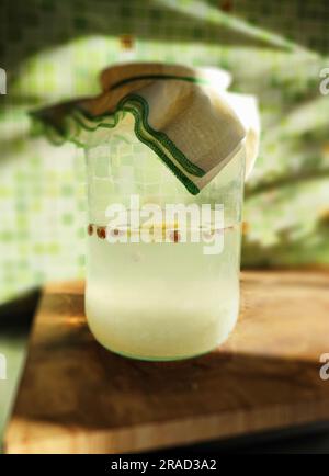 Kefir. Acqua Foto Stock