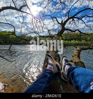 Nella tranquilla serenità di un pittoresco lago, un uomo trova il suo appollaiato sulla cima di un albero. Con le acque scintillanti sottostanti e la brezza soffice che frusciava Foto Stock