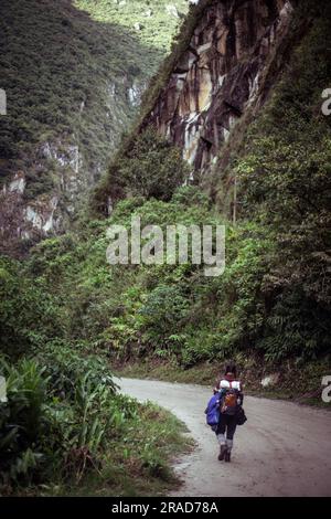 Le montagne riempiono la cornice nella giungla amazzonica a machu picchu Foto Stock
