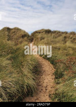 Percorso attraverso le dune di sabbia con erba di Maram, penisola di Gower, Galles Foto Stock