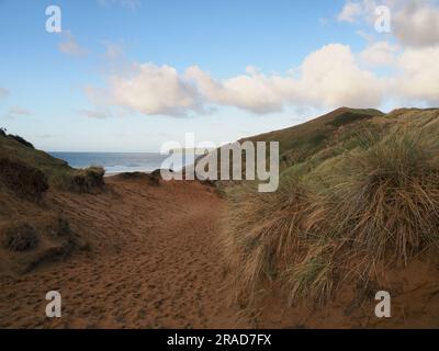 Percorso attraverso le dune di sabbia con erba di Maram, penisola di Gower, Galles Foto Stock