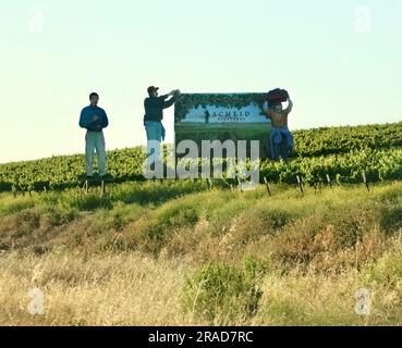 Cartello per il vigneto Scheid, Monterey County, Carmel-by-the-Sea, San Carlos e 7th Carmel California USA Foto Stock