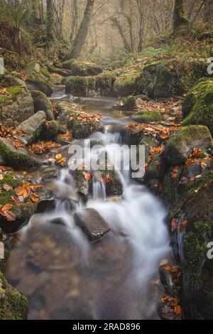 Parco nazionale di Ucieda Saja Besaya Foto Stock