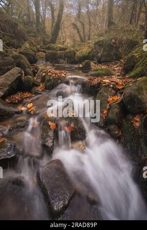 Parco nazionale di Ucieda Saja Besaya Foto Stock