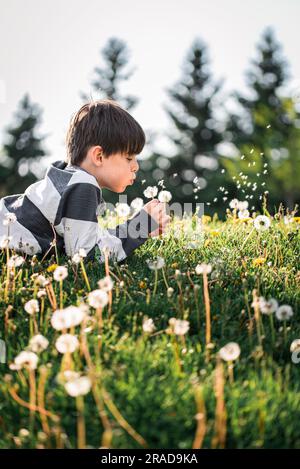 Giovane ragazzo che si stende sull'erba soffiando i semi da un fiore di tarassolo. Foto Stock