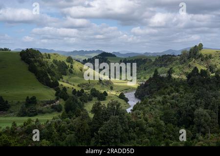 La bucolica campagna verde vicino a Piriaka Lookout si affaccia sulla valle del fiume Whanganui vicino a Taumarunui nel King Country, Isola del Nord, nuova Zelanda Foto Stock