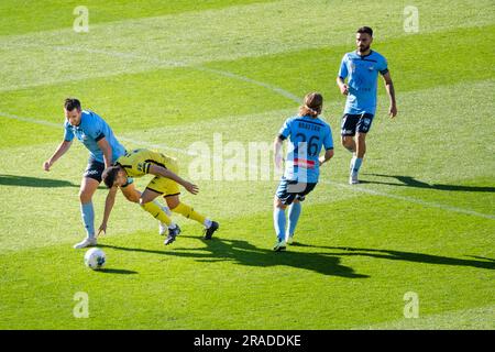 McGowan di Sydney fouls di Davila di Wellington - Wellington Phoenix contro Sydney nella A-League al Wellington Regional Stadium il 21 dicembre 2019 Foto Stock