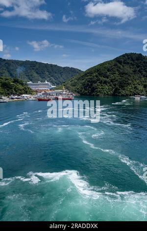 Arrivo in traghetto turistico a Picton a bordo del Wellington fino allo stretto di Picton Cook attraversando dall'Isola del Nord all'Isola del Sud, nuova Zelanda Foto Stock