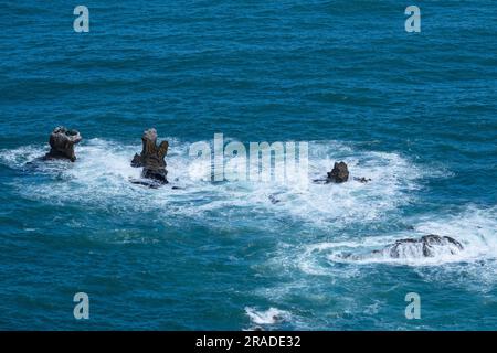 La vista sulle rocce a pilastri nel Mare di Tasman da Knights Point Lookout, West Coast, South Island, nuova Zelanda. Foto: Rob Watkins Foto Stock