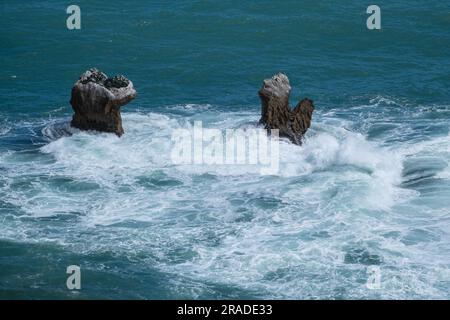 La vista sulle rocce a pilastri nel Mare di Tasman da Knights Point Lookout, West Coast, South Island, nuova Zelanda. Foto: Rob Watkins Foto Stock