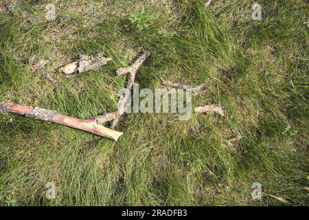 Bastoncini di legno sull'erba visti dall'alto Foto Stock