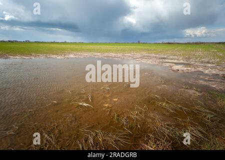 Pozzanghere d'acqua su terreni agricoli e cielo nuvoloso, Polonia orientale Foto Stock