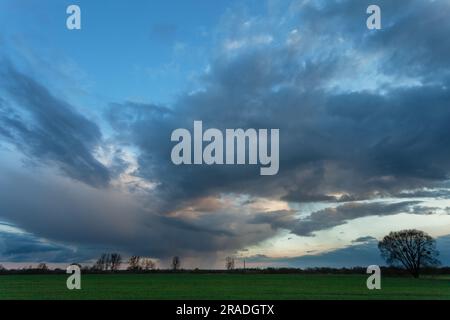 Fantastiche nuvole di pioggia all'orizzonte con alberi, vista serale primaverile, Polonia orientale Foto Stock