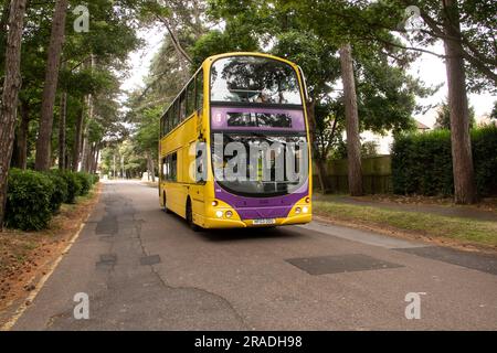 Bournemouth Bus Rally 2023, per lo più autobus d'epoca con alcuni modelli e moderni. Base a Kings Park Foto Stock