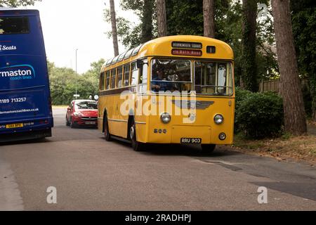 Bournemouth Bus Rally 2023, per lo più autobus d'epoca con alcuni modelli e moderni. Base a Kings Park Foto Stock