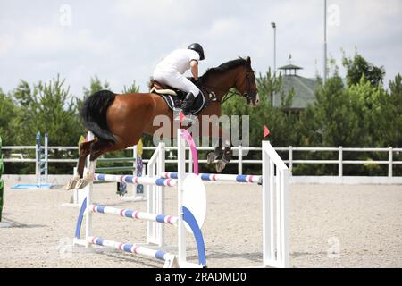 cavallo e cavaliere su un cavallo in gara di salto spettacolo Foto Stock