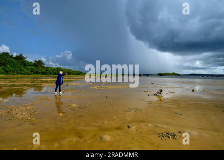 Cane da passeggio donna sulle rive del Lough Cullin, Pontoon, Contea di Mayo, Irlanda, con nuvole di tempesta sopra Foto Stock