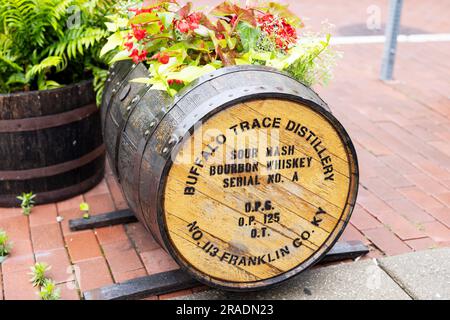 Un barile di whisky bourbon sour mash della distilleria Buffalo Trace trasformato in piantatrice nel centro di Frankfort, Kentucky, Stati Uniti. Foto Stock