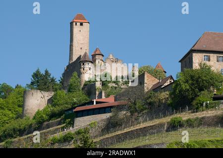 Castello di Hornberg, Goetzenburg vicino a Neckarzimmern am Neckar Foto Stock