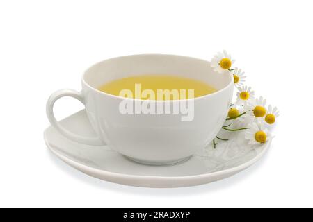 Tazza camomilla con fiori isolati su bianco Foto Stock