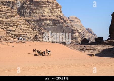 Wadi Rum, Giordania - 19 dicembre 2022: Un beduino guida una carovana di cammelli attraverso le sabbie di Wadi Rum in Giordania. Foto Stock