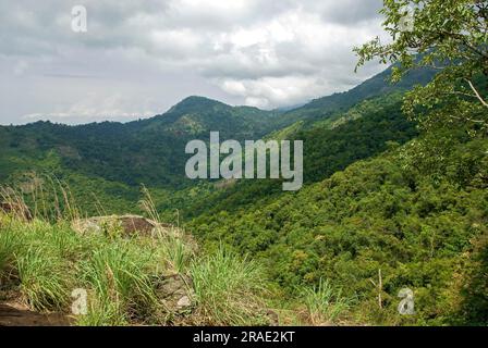 Una scena sulla strada per i dipinti rupestri pre-storici di Porivarai da Karikkaiyur Karikkiyoor, Nilgiris, Tamil Nadu, India meridionale, Asia Foto Stock