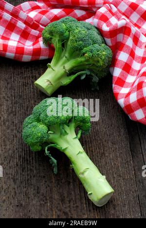 Broccoli (Brassica oleracea var. Italica) Foto Stock