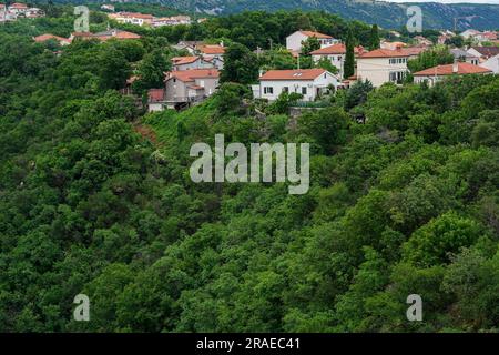 Belle case, tenute e foresta verde nelle montagne Foto Stock