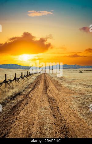 Una strada solitaria sterrata attraverso le praterie lungo il confine tra gli Stati Uniti e il Messico in Arizona. Foto Stock