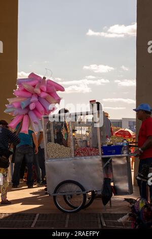 Brasilia, Brasile, natura, edifici storici, stile di vita, persone Foto Stock