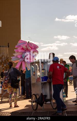 Brasilia, Brasile, natura, edifici storici, stile di vita, persone Foto Stock