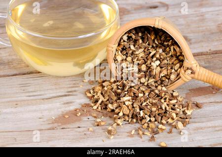 Tazza di tè cinese con radice di orecchio di coniglio (Bupleuri Radix), Chai Hu, tè con radice di orecchio di coniglio Foto Stock