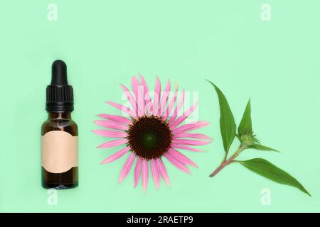 Echinacea tintura naturale per tosse raffreddori influenza e bronchite rimedi con bottiglia, testa di fiore, foglia scricchiata su sfondo verde. Foto Stock