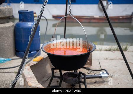 Zuppa di pesce d'acqua dolce appena cucinata in un piatto di pesce all'aperto sulla riva del Danubio Foto Stock