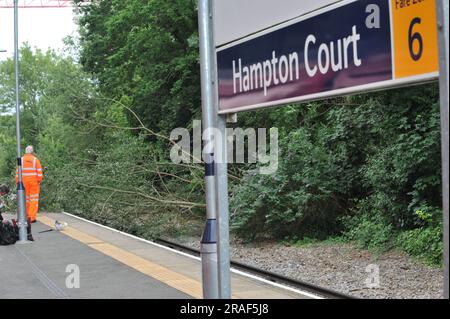 Un albero è caduto sui binari della stazione ferroviaria di Hampton Court, i venti alti che seguono oggi hanno portato a un livello ridotto di servizio per i visitatori dell'Hampton Court Garden Festival che tornano a casa dopo aver partecipato allo spettacolo. Un ingegnere della rete ferroviaria era in loco e stava valutando la situazione, osservando che questo tipo di incidente era molto più comune nei mesi autunnali e invernali che nella metà dell'estate. L'Hampton Court Garden Festival apre completamente al pubblico in generale domani, quando è atteso un elevato numero di visitatori. Foto Stock