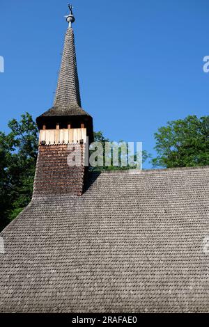 Complesso museale nazionale di ASTRA a Sibiu, Romania Foto Stock