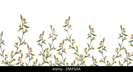 Bordo orizzontale senza cuciture floreale con fiori, foglie, avena selvatica. Motivo ad acquerello disegnato a mano su sfondo bianco. Illustrazione panoramica estiva Foto Stock