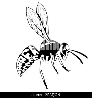 WASP. Illustrazione vettoriale di un calabrone o di un'ape. Insetto a strisce pericoloso Illustrazione Vettoriale