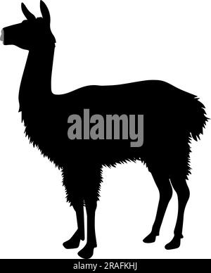 Silhouette Llama o alpaca isolata su sfondo bianco. Illustrazione vettoriale Illustrazione Vettoriale