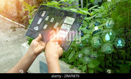 Il concetto di utilizzo dell'intelligenza artificiale e dell'agricoltura intelligente Foto Stock