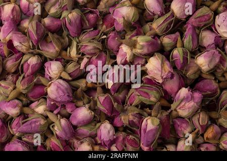 Rose di tè asciutte isolate su uno sfondo bianco. Foto Stock