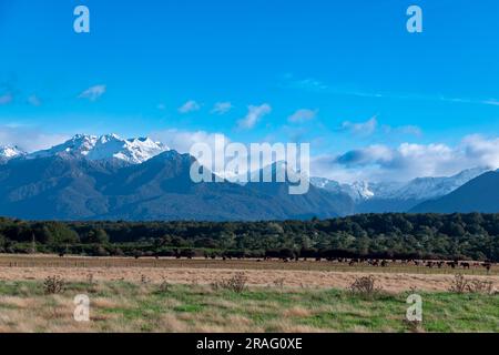 Fotografia dei paddock agricoli e vista sulle montagne durante il viaggio da te Anau a Fiordland a Manapouri, sull'Isola del Sud della nuova Zelanda Foto Stock