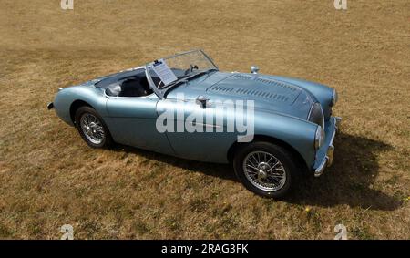 Auto classica Austin Healey 100-4 del 1955 parcheggiata sull'erba. Foto Stock