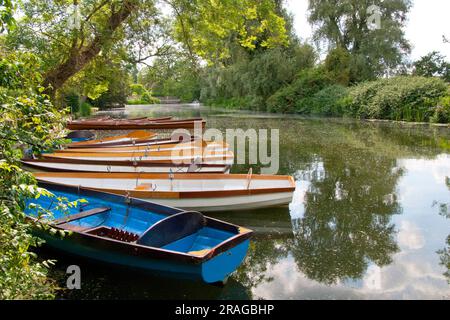 Un luogo tranquillo sul fiume Ouse a Hemingford Grey, Huntingdon, Cambridgeshire, Inghilterra Foto Stock