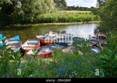 Fiume Ouse che corre tra Hemingford Abbots & Houghton, Huntingdon, Cambridgeshire, Inghilterra Foto Stock