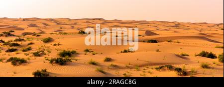 Paesaggio desertico Dubai, Emirati Arabi Uniti Foto Stock