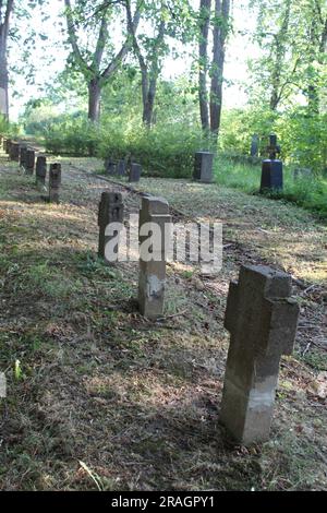 Fila di tombe incrociate di soldati tedeschi della prima guerra mondiale a Cesis, Lettonia Foto Stock