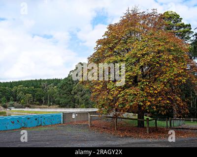 Ballarat Australia / Kirks Reservoir Park è una splendida posizione. Il bacino idrico fornisce acqua potabile per Balllarat e dintorni. Ci sono anche f Foto Stock